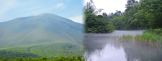 五周年のごあいさつ