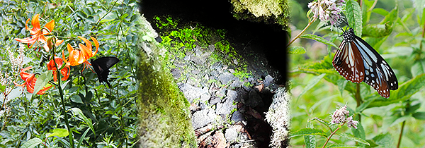 五周年のごあいさつ